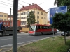 11. 8. 2013 -  Autobus #446 na lince 5 se jako výluková náhrada za trolejbus proplétá mezi pracovními vozy 